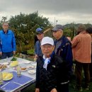 천상천하농장 이미지