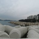 부산광역시 영도구 중리로 이미지