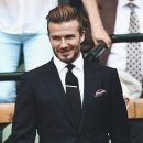 다비드 핏 이미지