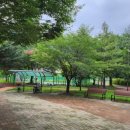 용산생활체육공원 이미지