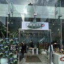 [트랜드 LAB] 강남역 “바바토토 식물” 팝업스토어 방문 후기