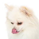 낼름