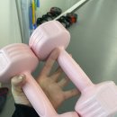타미나디자인 | 홈트레이닝 시작하면서 선택한 타미나 아령 덤벨 사용 후기