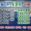 고래유선경원5호