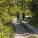 수리봉마을 이미지