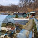 이목농장 이미지