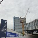 북부신용청과