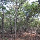 장안남산체육공원 | 近畿旅行(143): 화성시 장안면사무소 · 남산