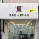 미소애견 미용실 이미지