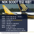 [외국항공사] 녹스쿳(NOK SCOOT)항공 승무원 채용공고 이미지