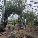 제주보물섬공인중개사사무소 | 제주부동산 제주에서 부동산 찾을 땐 이서현공인중개사사무소