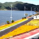 영광방아 이미지