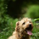 스포팅(SPORTING) 이미지