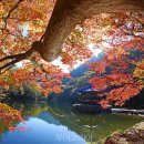 봄그리고가을가족호텔 이미지