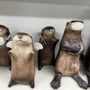 양구백자박물관 이미지