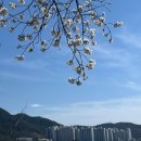 모박곡 네이버블로그