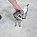 개스트룸 이미지