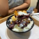 105 | 대전 또간집 하레하레 유성점 후기｜성심당만 가다 반한 빵지순례 맛집