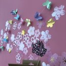 네발총총 이미지