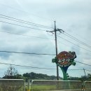 진관-041 이미지