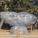 해운대 엘레지 이미지