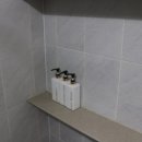 스테이 루나 이미지