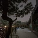 창해목장 네이버블로그