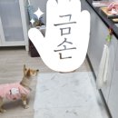 25시 죽곡동물병원 이미지