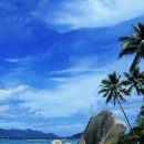 파라다이스 이미지