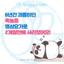 비겐의료기창동센터 | 6년간 축농증 치료방법 찾다가 포기했는데 2개월만에 씻은듯이 나았어요.(사당역 한국명상요가센터 후기)