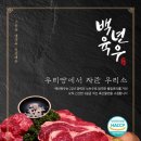 (주)다담미트