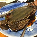 석일식당 이미지