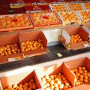 해품은농장 이미지