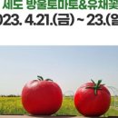 부여꽃 이미지
