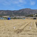 일원농장 이미지