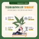 솔아로마 이미지
