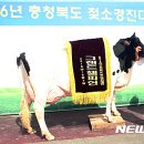 충북낙농업협동조합 이미지