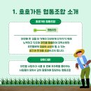호호가든협동조합 티스토리