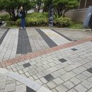 서안산정비 | 안산 볼라드 설치, 매립식으로 튼튼하게