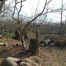 선바우농장 이미지