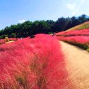 가산수피아 이미지