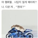 오천고등학교 | 제목뭘로하지