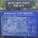중앙대학교병원 장례식장