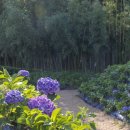 구례의길(섬진강길) 이미지