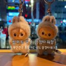 황상D.C마트 | [부산 부전동] (언박싱후기) 리뉴얼된 ‘팝마트(POP MART) 부산 삼정타워점’ 매장 방문/구입 후기