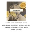 희호프 이미지