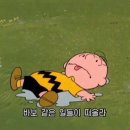 찰리브라운 티스토리