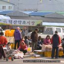 경남 산청군 시천면 사리 / 천왕봉입구 덕산장날 이미지