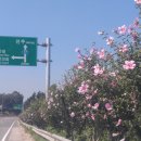 무궁화100리길 이미지