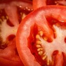 토마토피부과 이미지